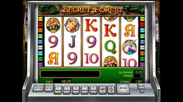 Secret Forest